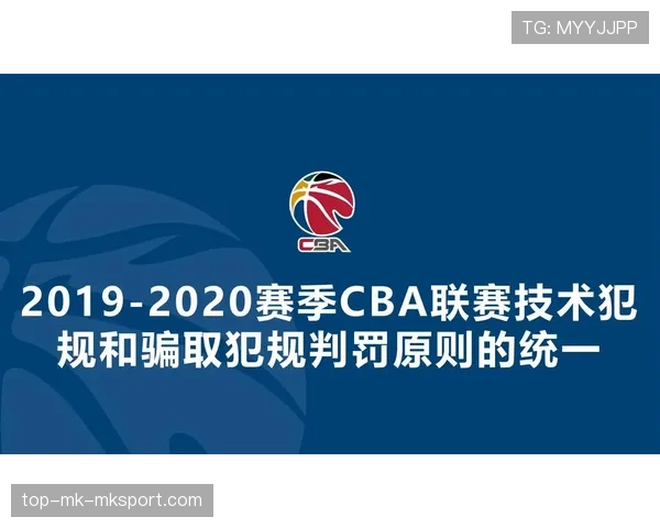 球员赛场技术犯规与录像回放裁定流程说明，技术犯规记录